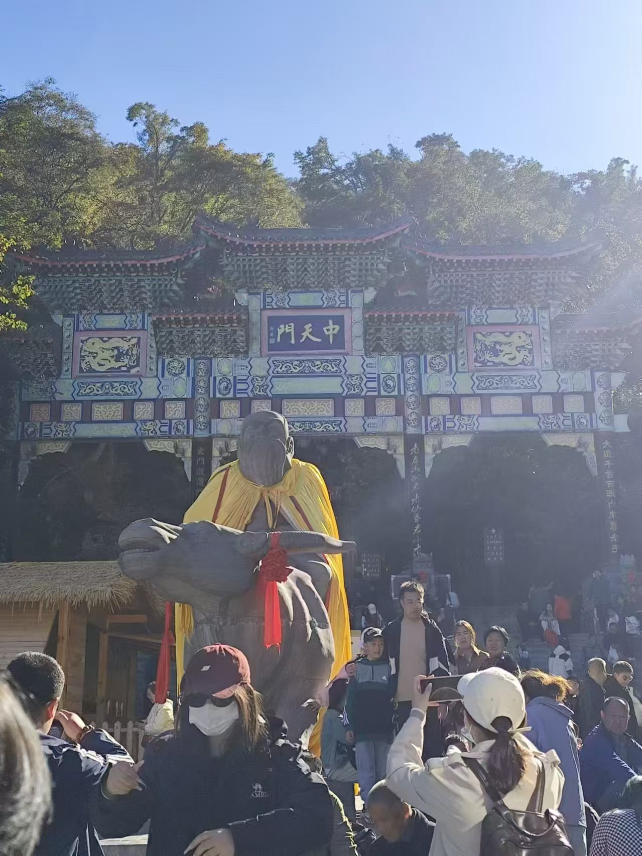 tzjjwhw-5